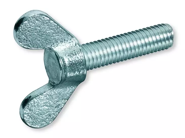 SIIPIRUUVI ZN - Siipiruuvi Din315 zn - 55110040P - 1